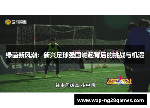 绿茵新风潮：新兴足球强国崛起背后的挑战与机遇