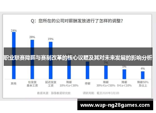 职业联赛降薪与赛制改革的核心议题及其对未来发展的影响分析