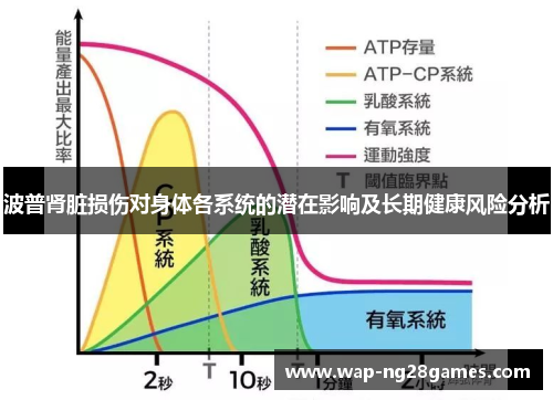 波普肾脏损伤对身体各系统的潜在影响及长期健康风险分析
