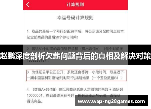 赵鹏深度剖析欠薪问题背后的真相及解决对策