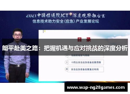 朗平赴美之路：把握机遇与应对挑战的深度分析
