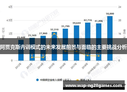 阿贾克斯青训模式的未来发展前景与面临的主要挑战分析