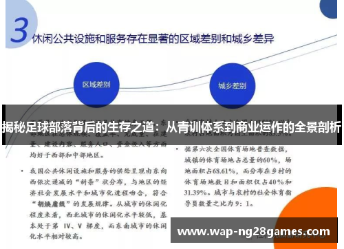 揭秘足球部落背后的生存之道：从青训体系到商业运作的全景剖析