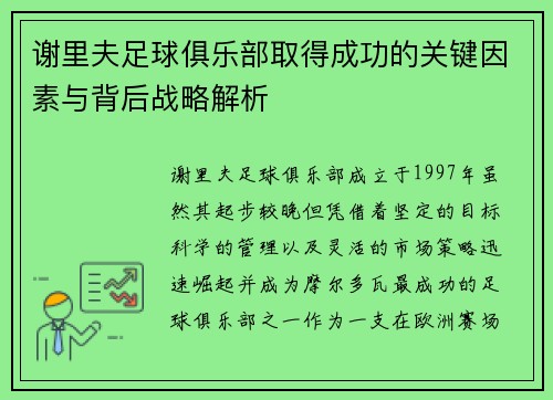 谢里夫足球俱乐部取得成功的关键因素与背后战略解析