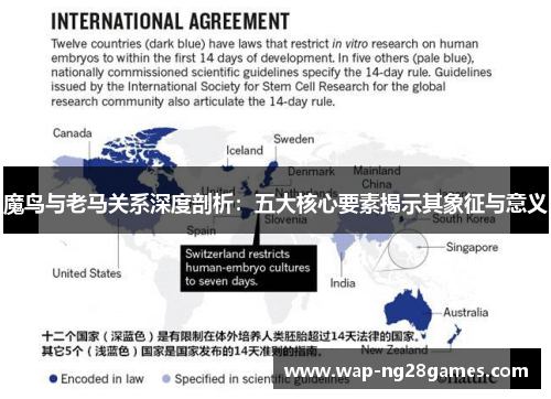 魔鸟与老马关系深度剖析：五大核心要素揭示其象征与意义