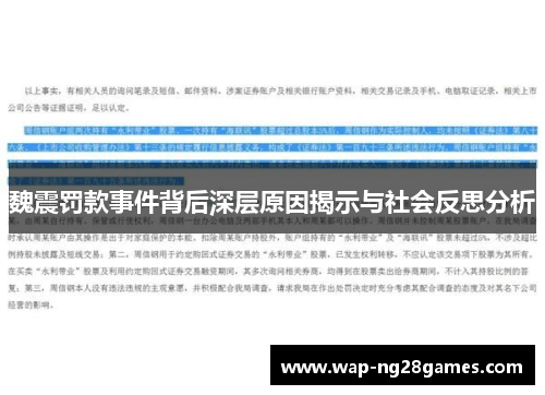 魏震罚款事件背后深层原因揭示与社会反思分析