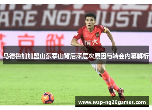 马德鲁加加盟山东泰山背后深层次原因与转会内幕解析