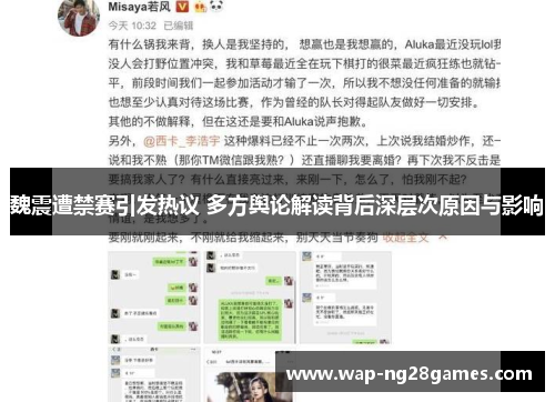 魏震遭禁赛引发热议 多方舆论解读背后深层次原因与影响