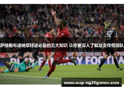 萨格勒布迪纳摩球迷必备的五大知识 让你更深入了解这支传奇球队